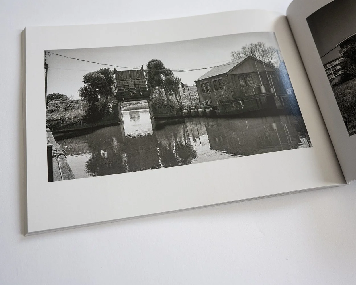 ポーラ・マッカードル “Book in the Bath” Paula McArdle, Original Artist Print, 